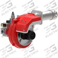 GAS X4/2 CE-LX4 TO Cl. | Variant: variant_2 | Subgroup: Burner